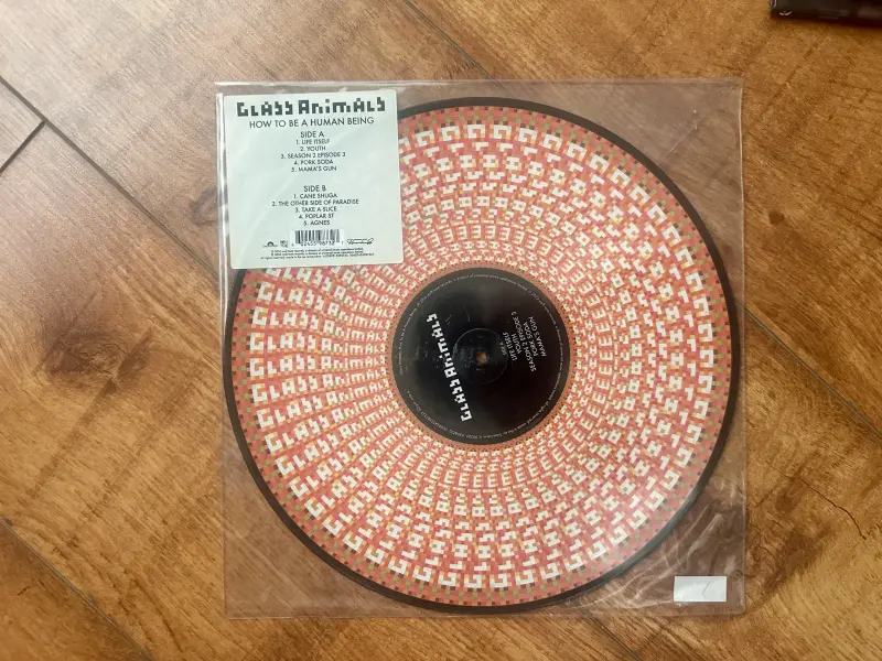 How To Be A Human Being by Glass Animals